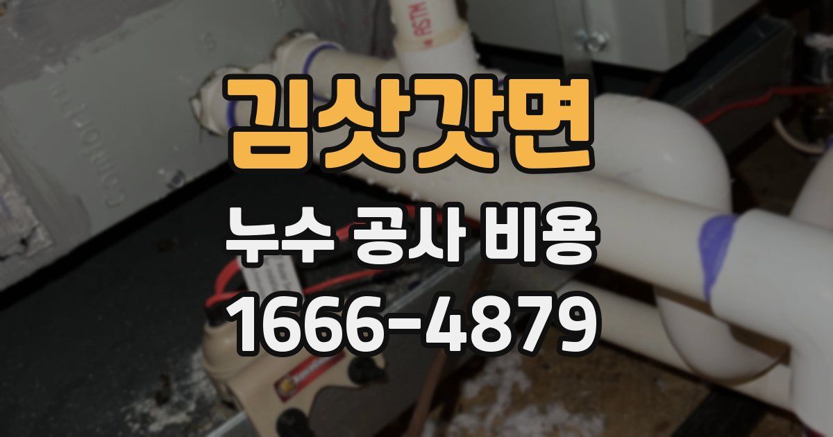 김삿갓면 누수 공사 비용