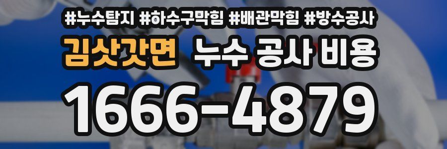 김삿갓면 누수 공사 비용