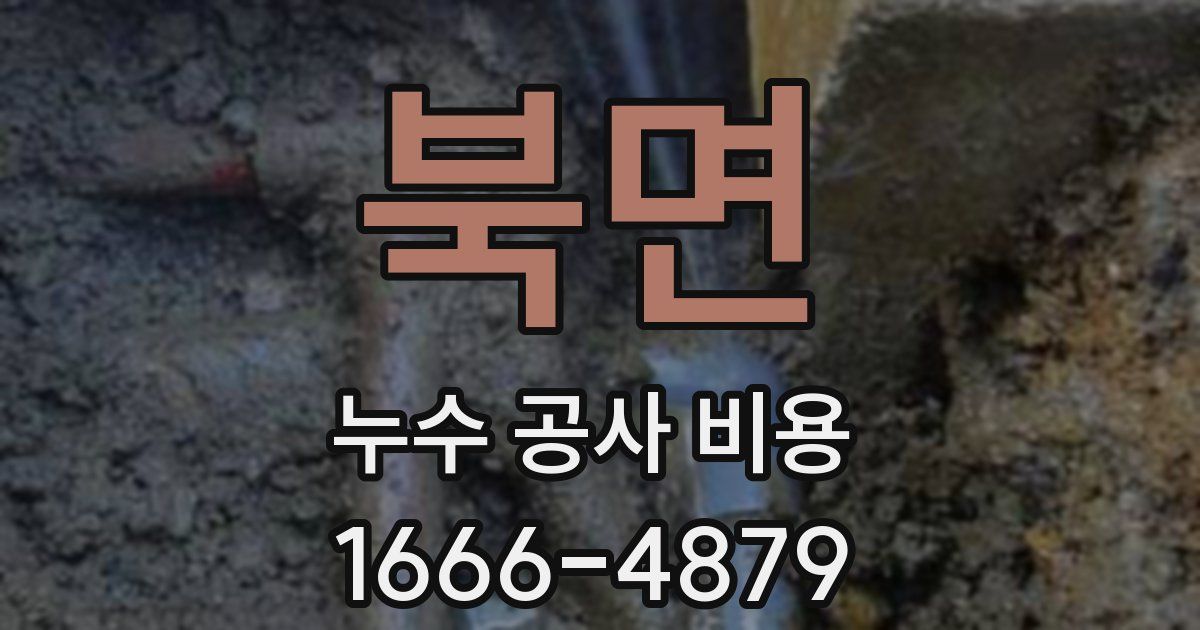북면 누수 공사 비용