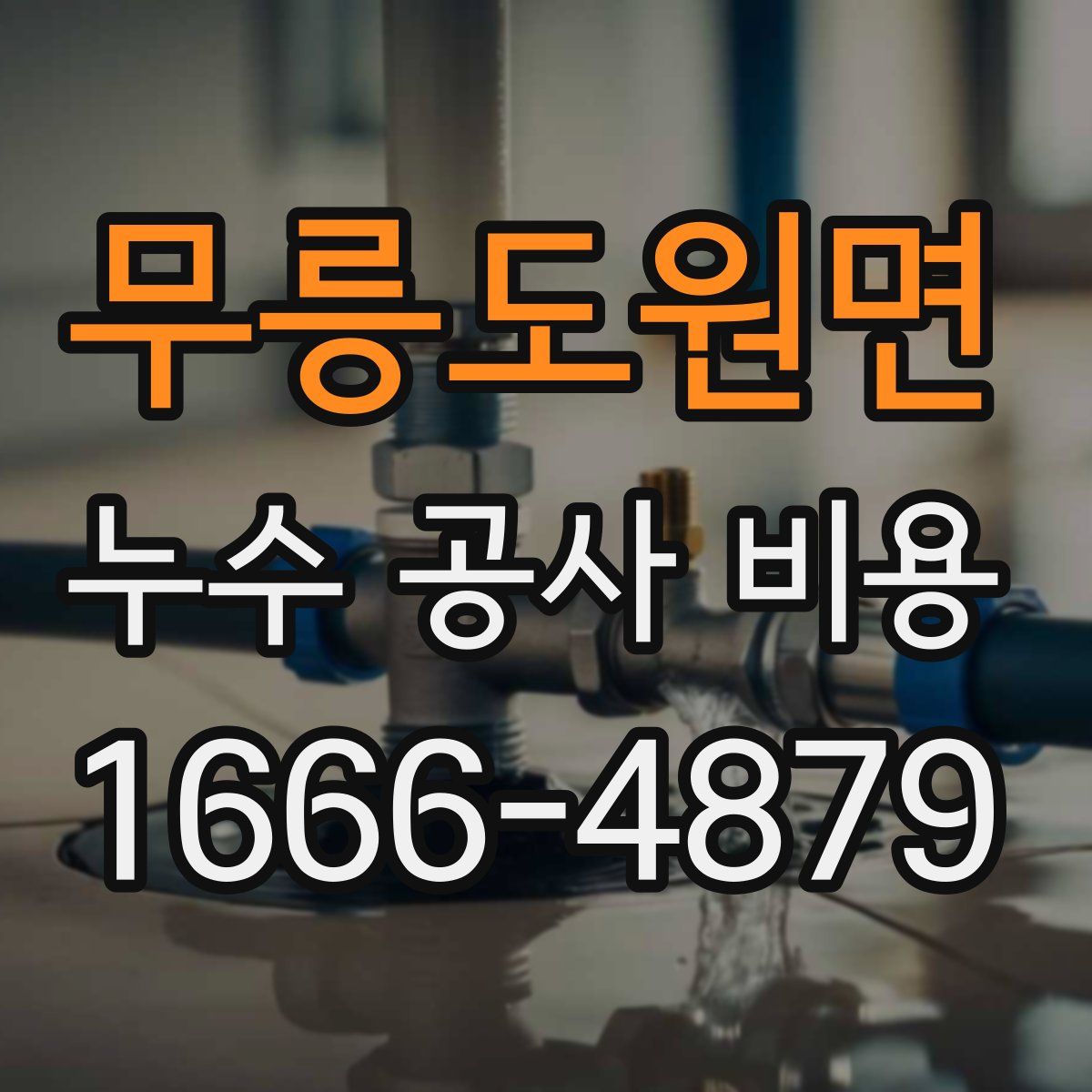 무릉도원면 누수 공사 비용