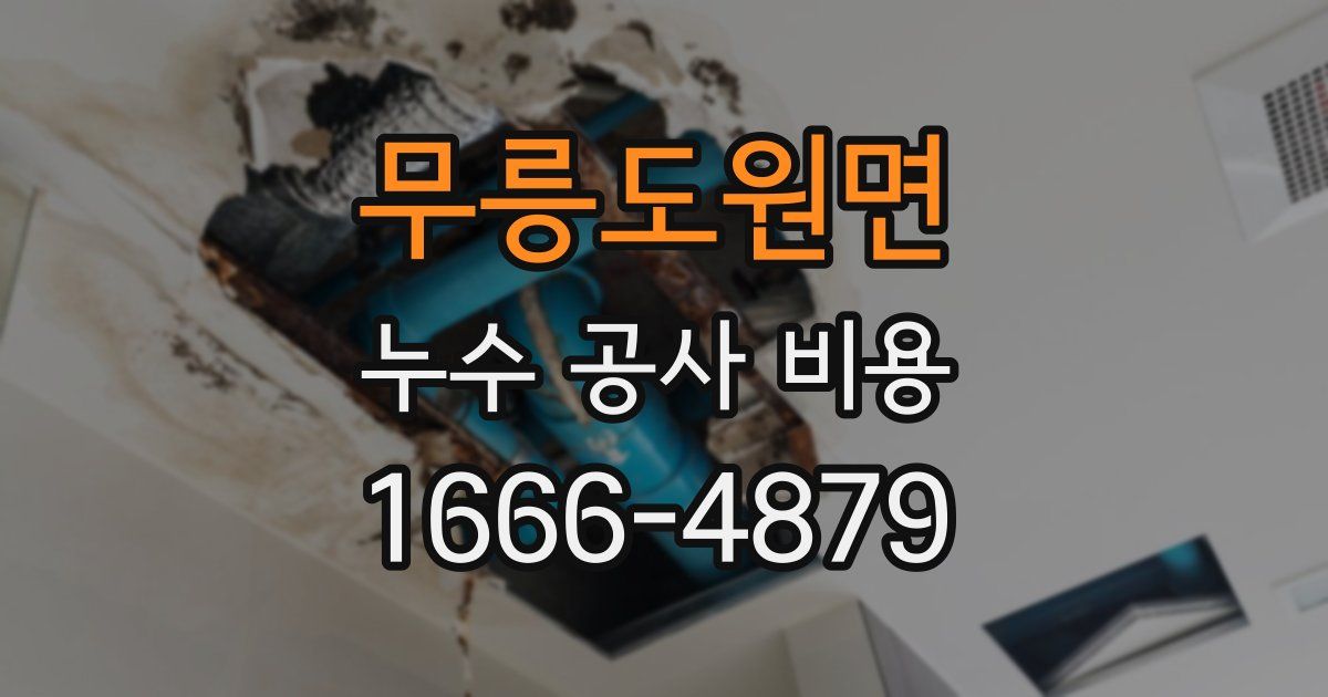 무릉도원면 누수 공사 비용