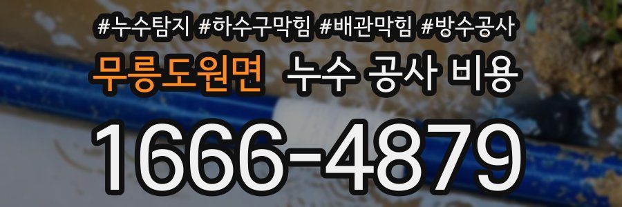 무릉도원면 누수 공사 비용