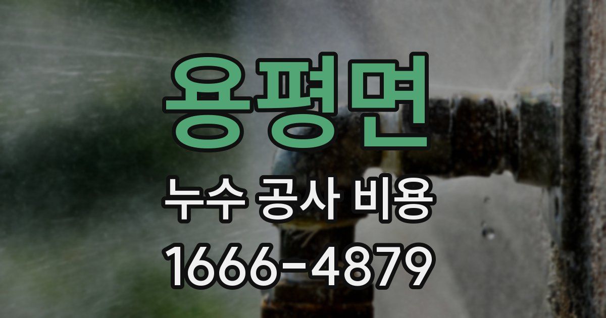 용평면 누수 공사 비용