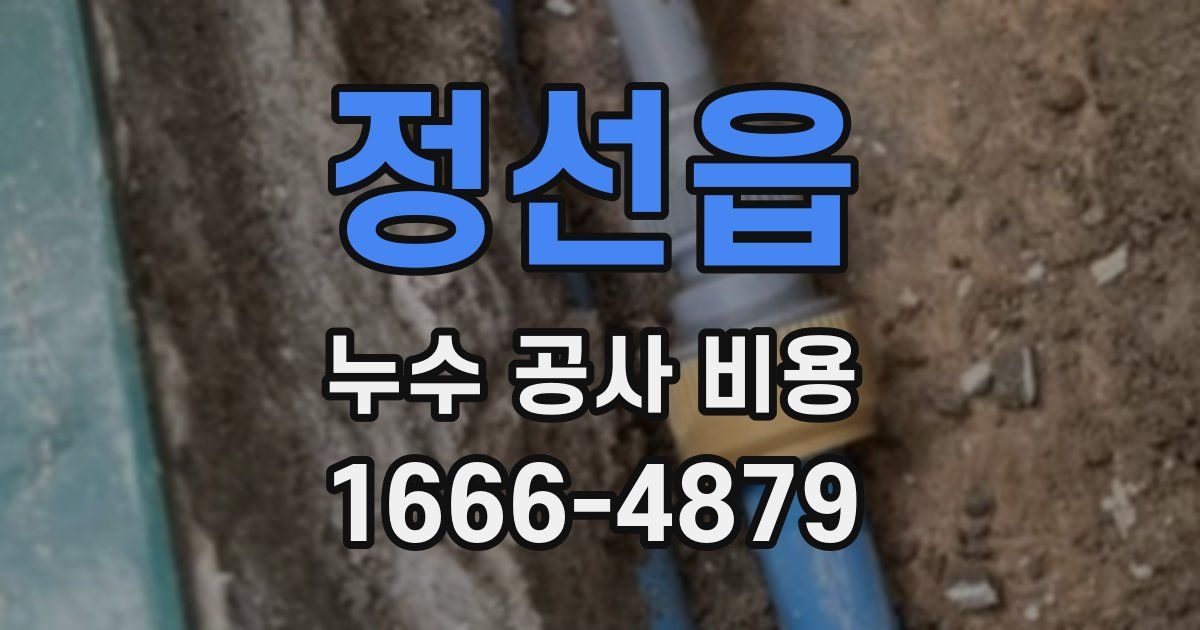 정선읍 누수 공사 비용