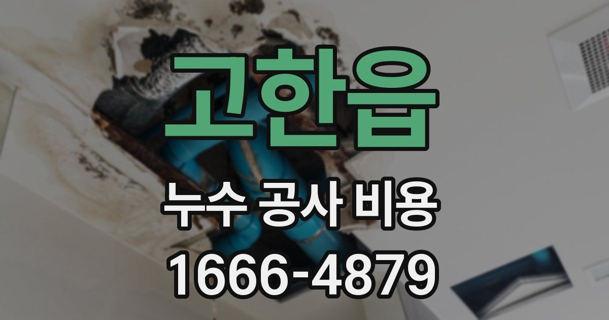 고한읍 누수 공사 비용
