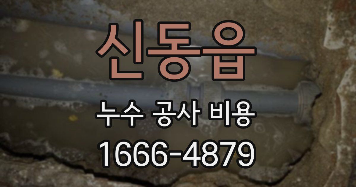 신동읍 누수 공사 비용