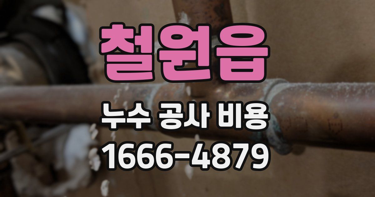 철원읍 누수 공사 비용