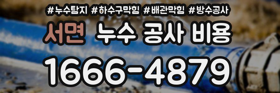 서면 누수 공사 비용