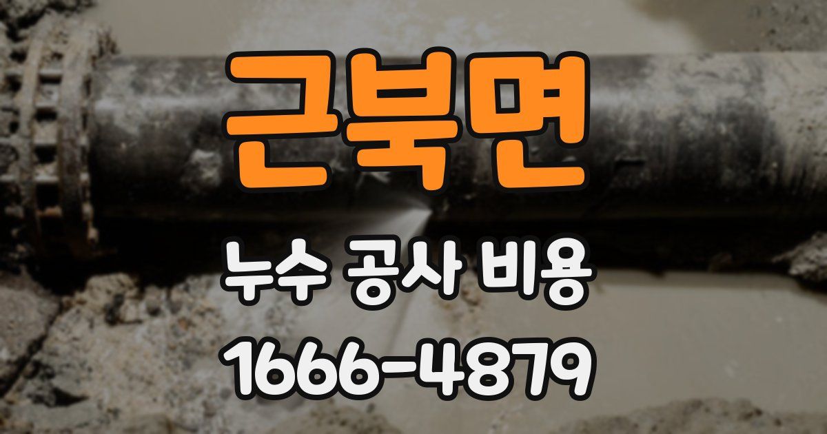 근북면 누수 공사 비용