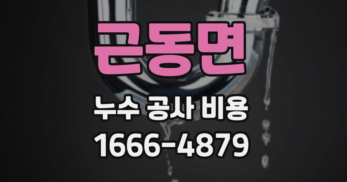 근동면 누수 공사 비용