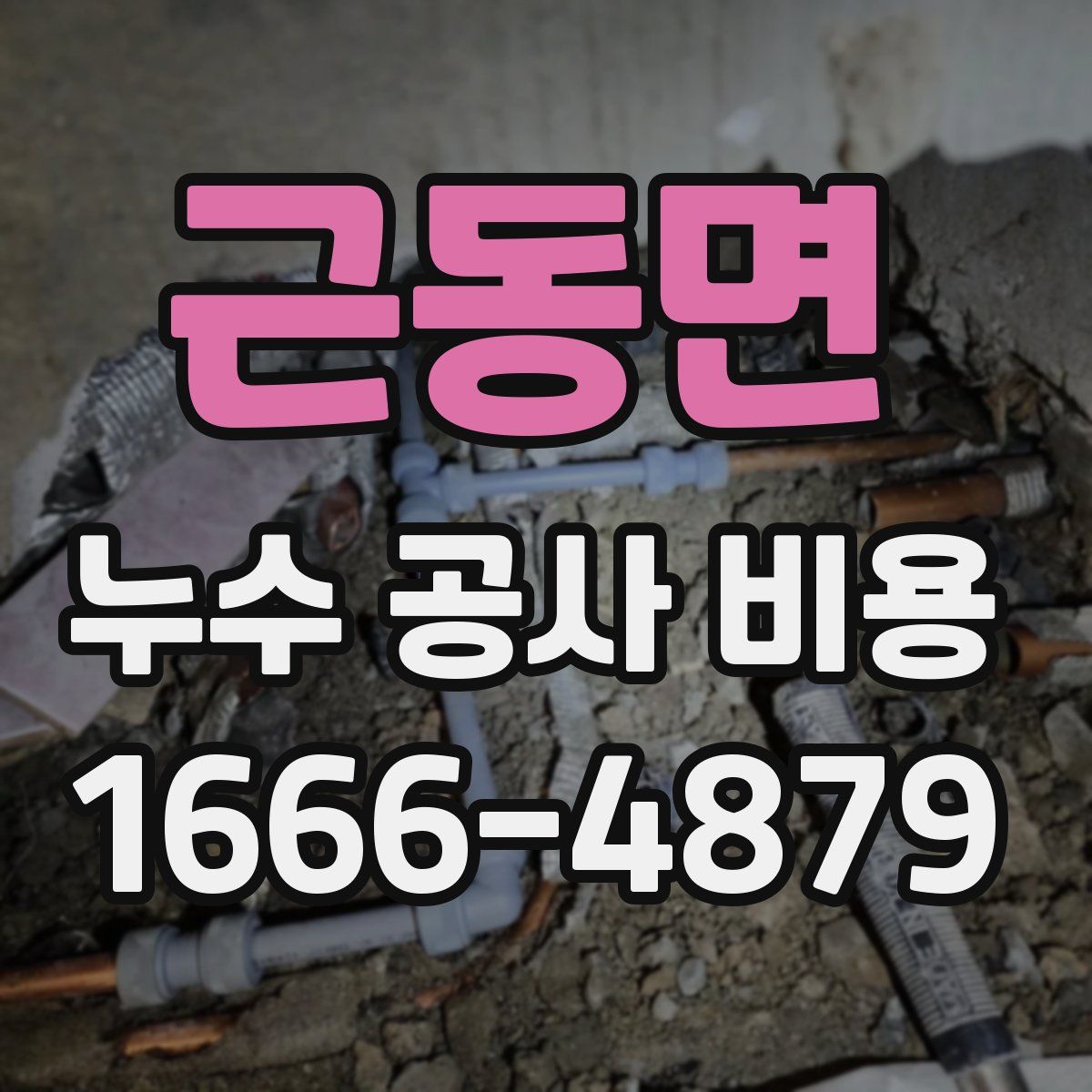 근동면 누수 공사 비용