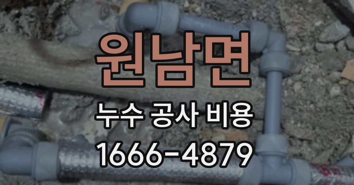 원남면 누수 공사 비용