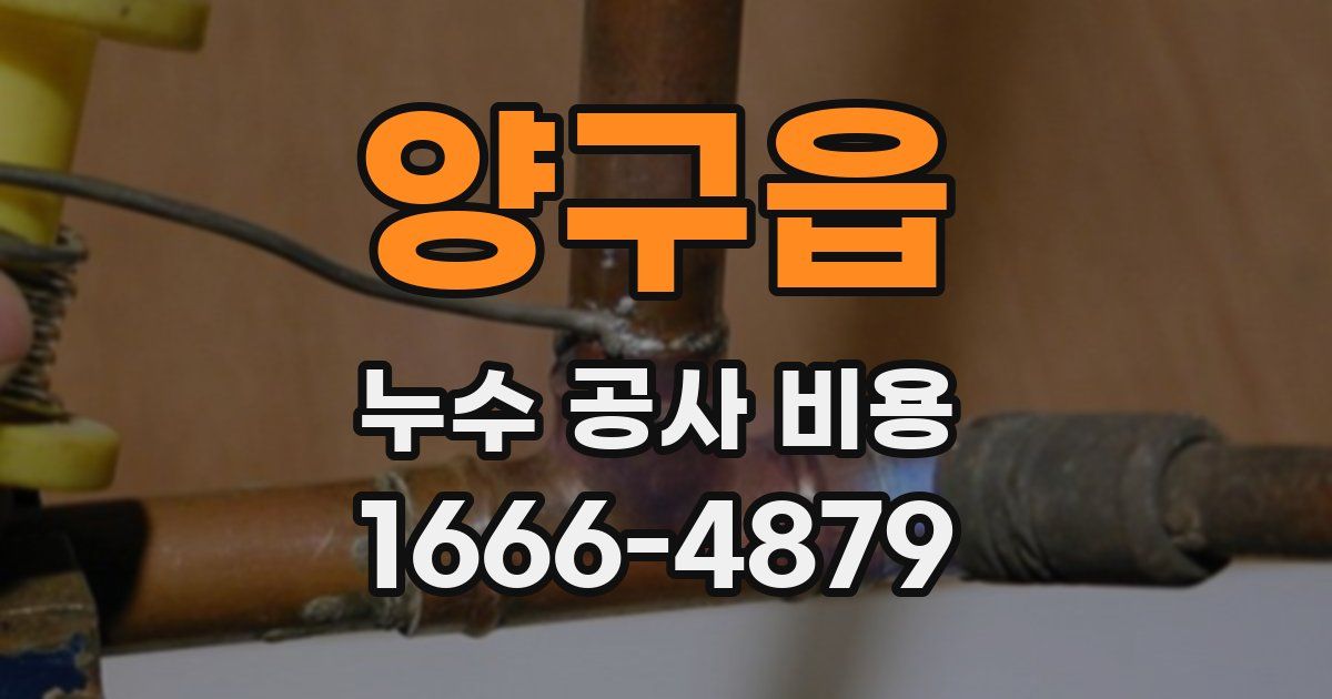 양구읍 누수 공사 비용