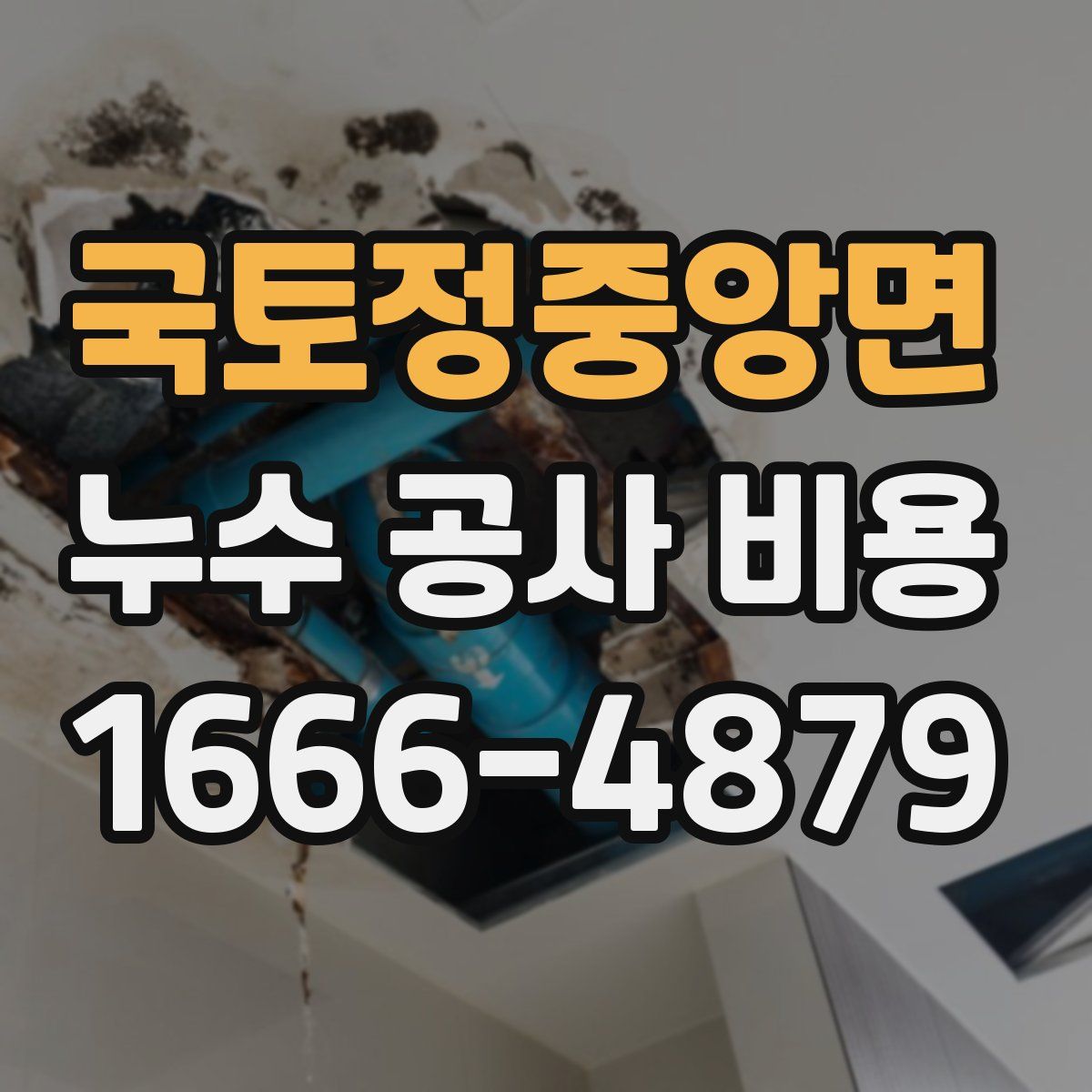 국토정중앙면 누수 공사 비용
