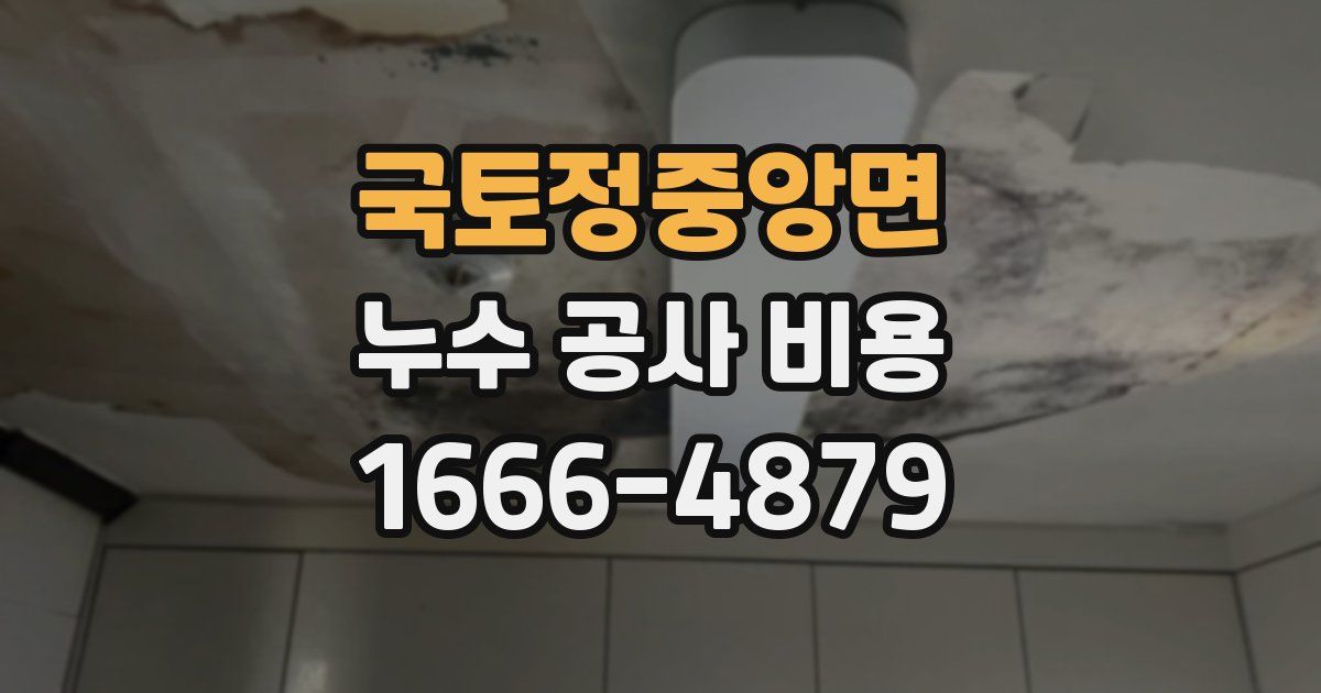 국토정중앙면 누수 공사 비용