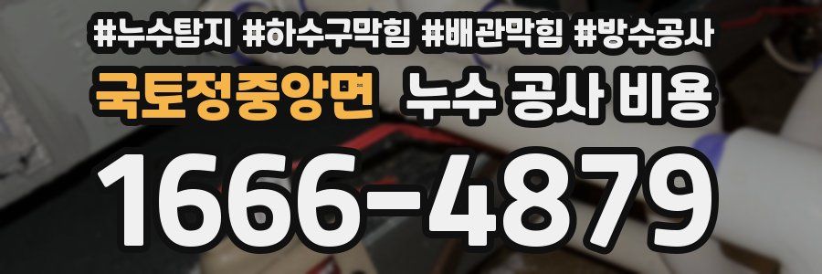 국토정중앙면 누수 공사 비용