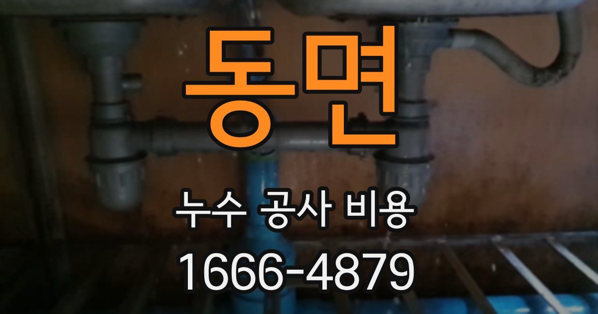 동면 누수 공사 비용