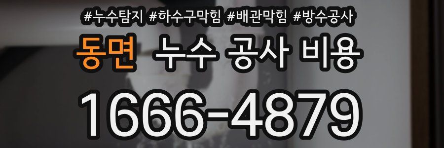 동면 누수 공사 비용