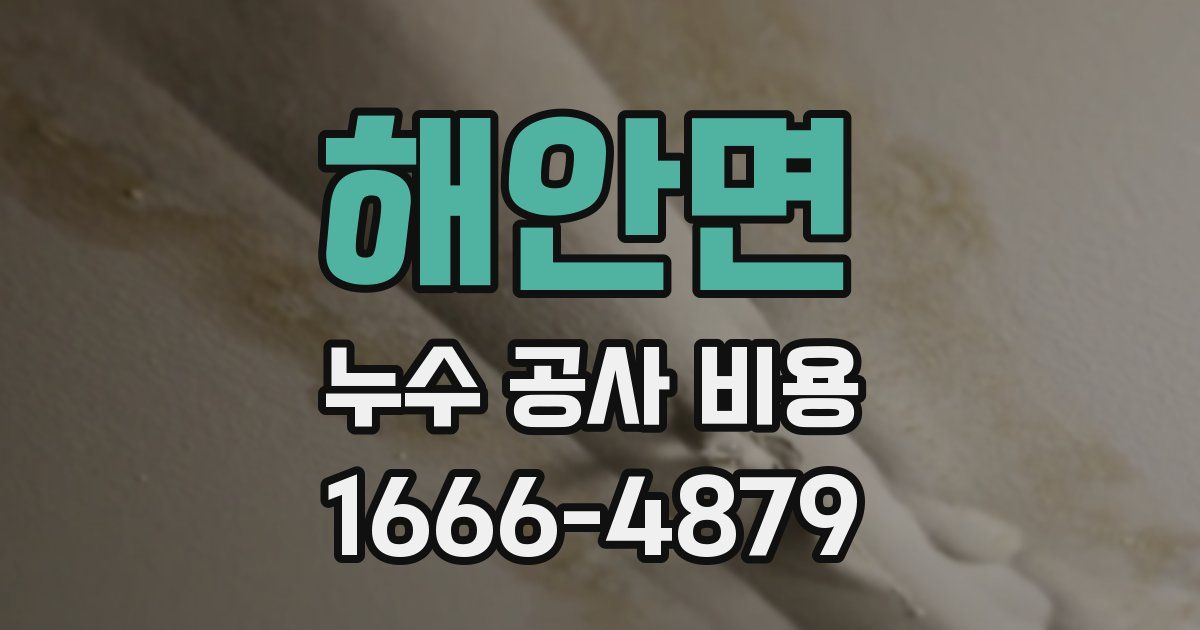 해안면 누수 공사 비용