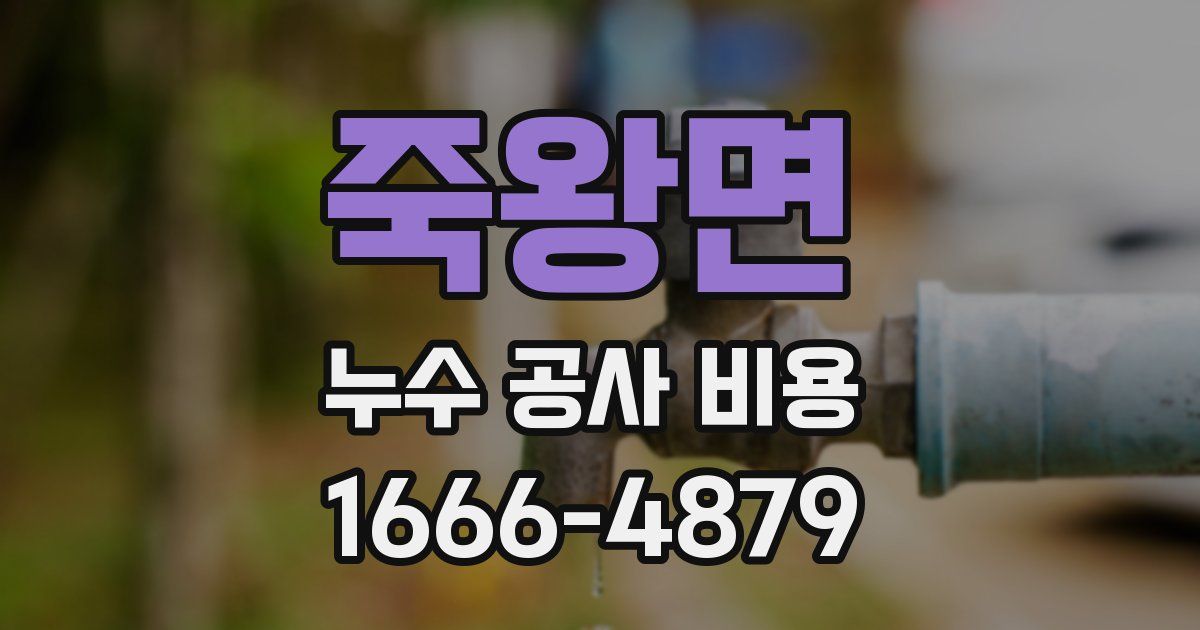 죽왕면 누수 공사 비용