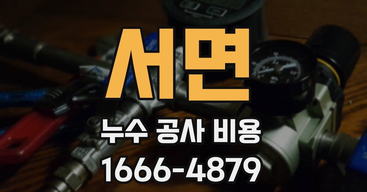 서면 누수 공사 비용