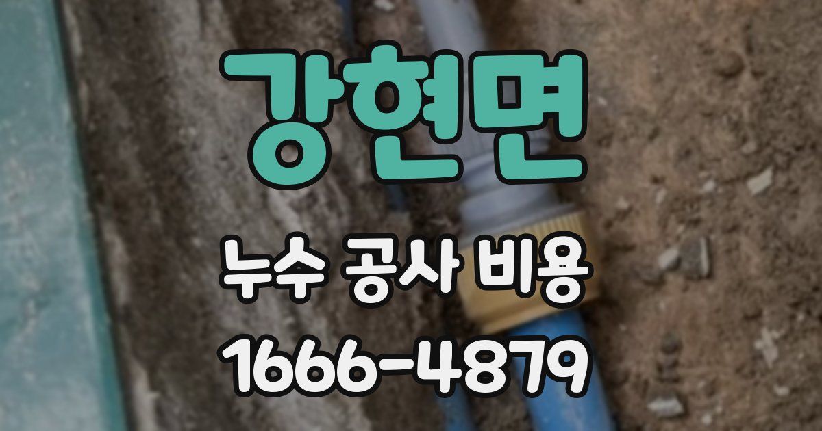강현면 누수 공사 비용