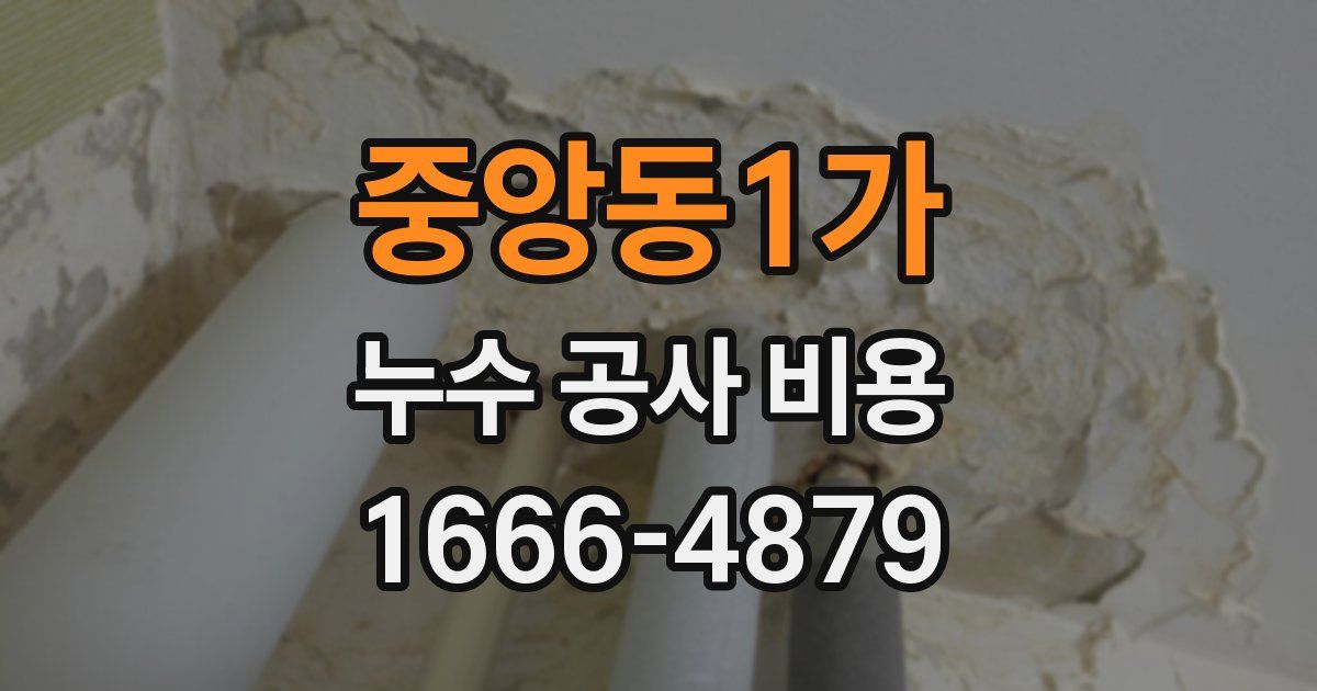 중앙동1가 누수 공사 비용