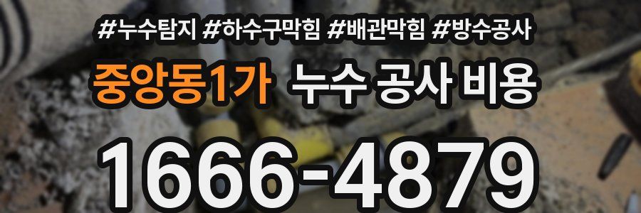 중앙동1가 누수 공사 비용