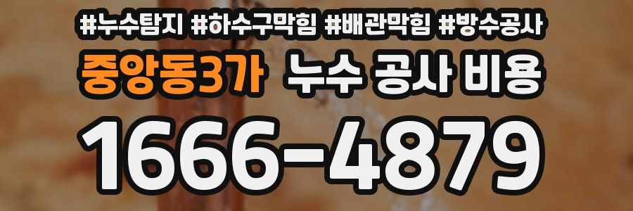중앙동3가 누수 공사 비용