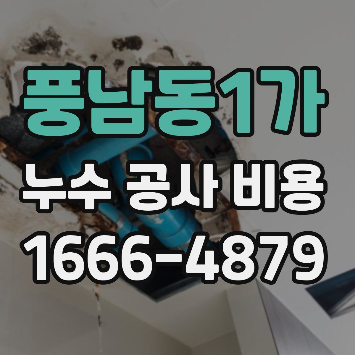 풍남동1가 누수 공사 비용