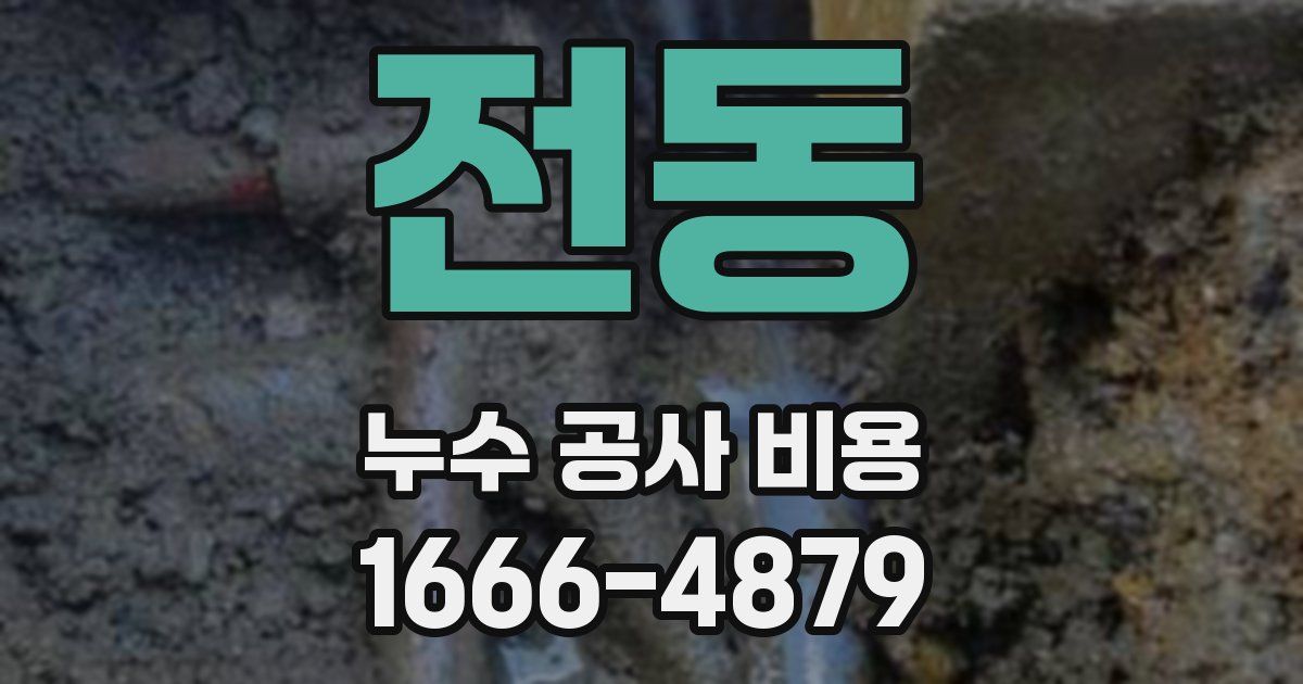 전동 누수 공사 비용