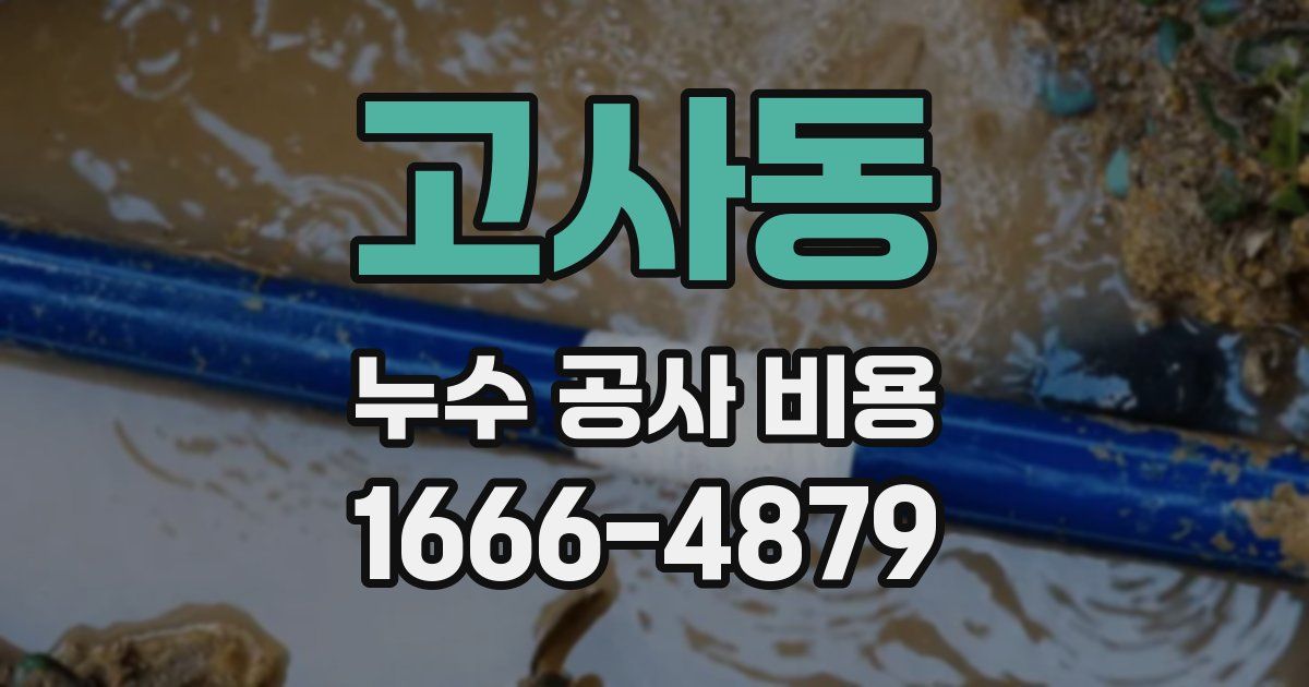 고사동 누수 공사 비용