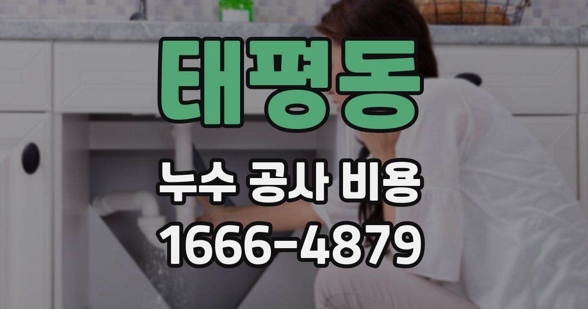 태평동 누수 공사 비용