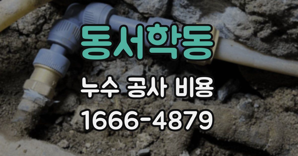 동서학동 누수 공사 비용