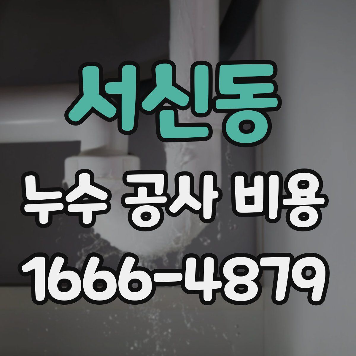 서신동 누수 공사 비용