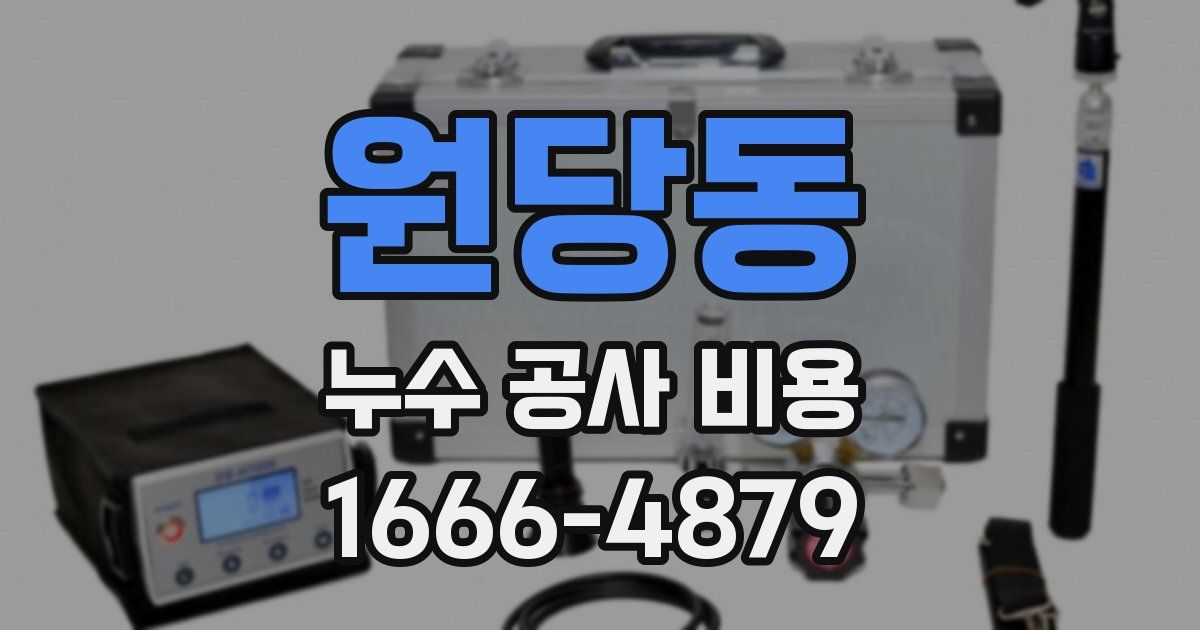 원당동 누수 공사 비용
