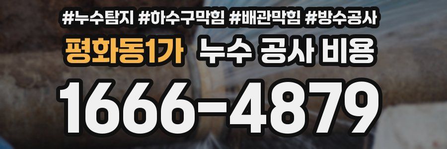 평화동1가 누수 공사 비용