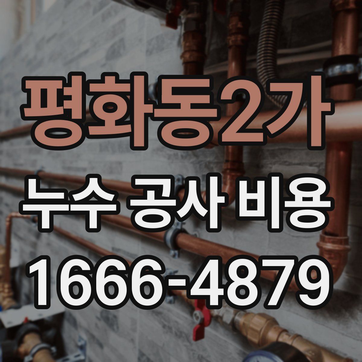 평화동2가 누수 공사 비용