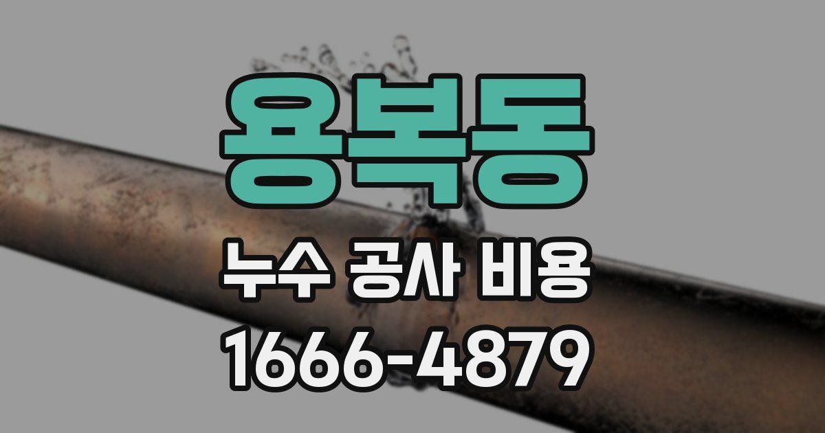 용복동 누수 공사 비용