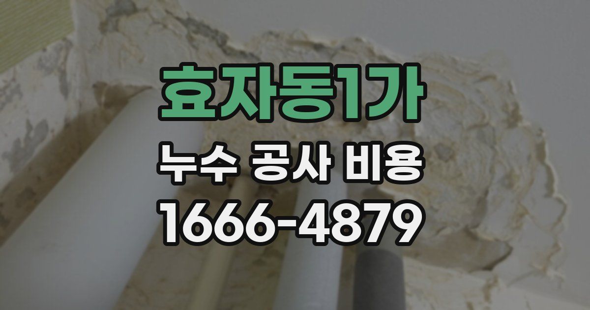효자동1가 누수 공사 비용
