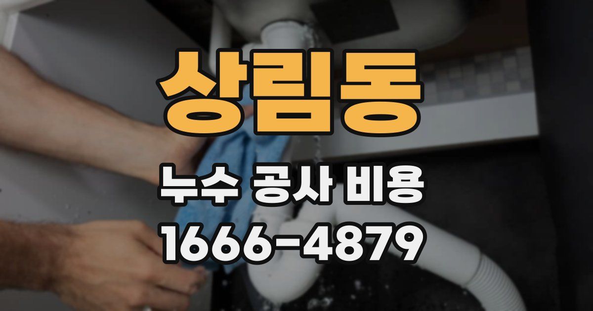 상림동 누수 공사 비용