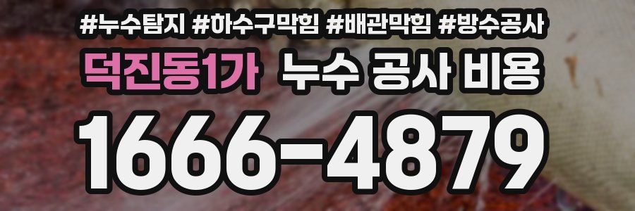 덕진동1가 누수 공사 비용