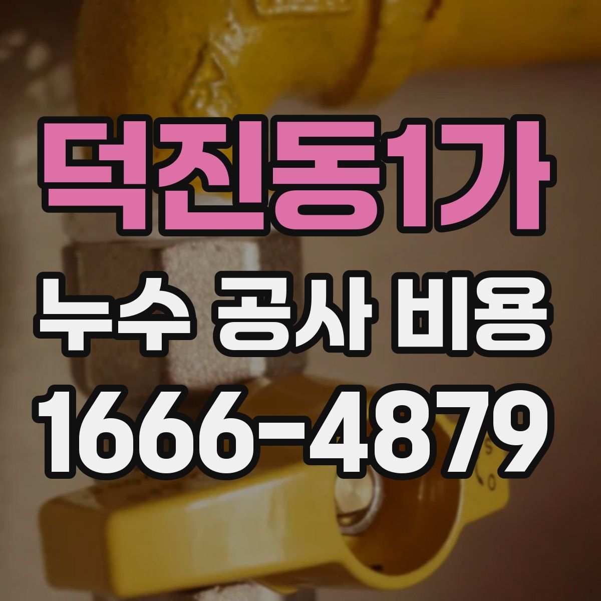 덕진동1가 누수 공사 비용