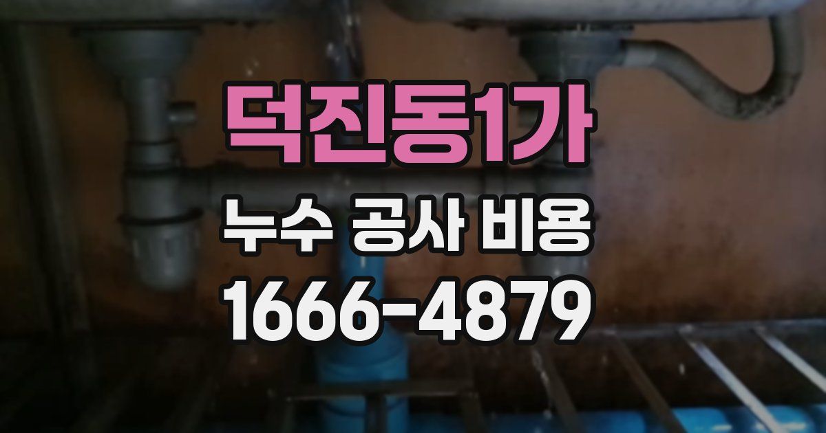 덕진동1가 누수 공사 비용