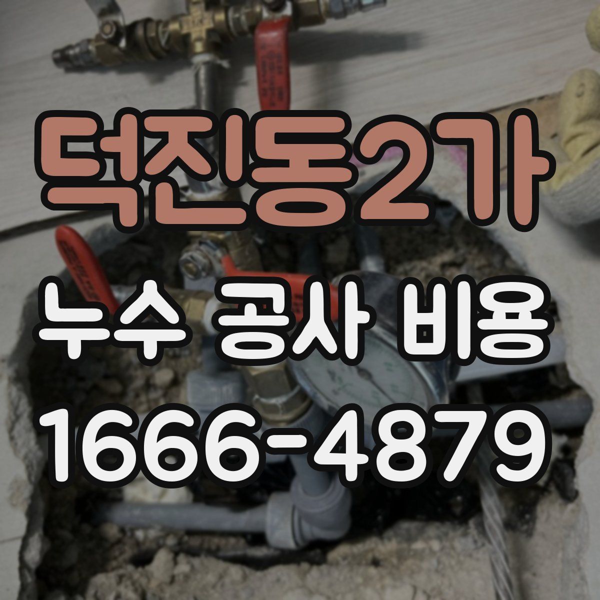 덕진동2가 누수 공사 비용