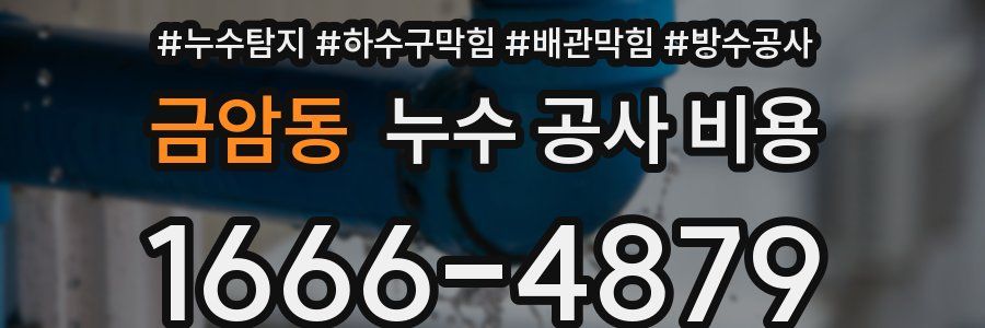 금암동 누수 공사 비용