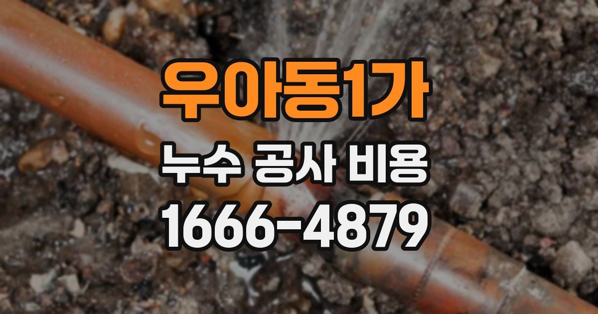 우아동1가 누수 공사 비용