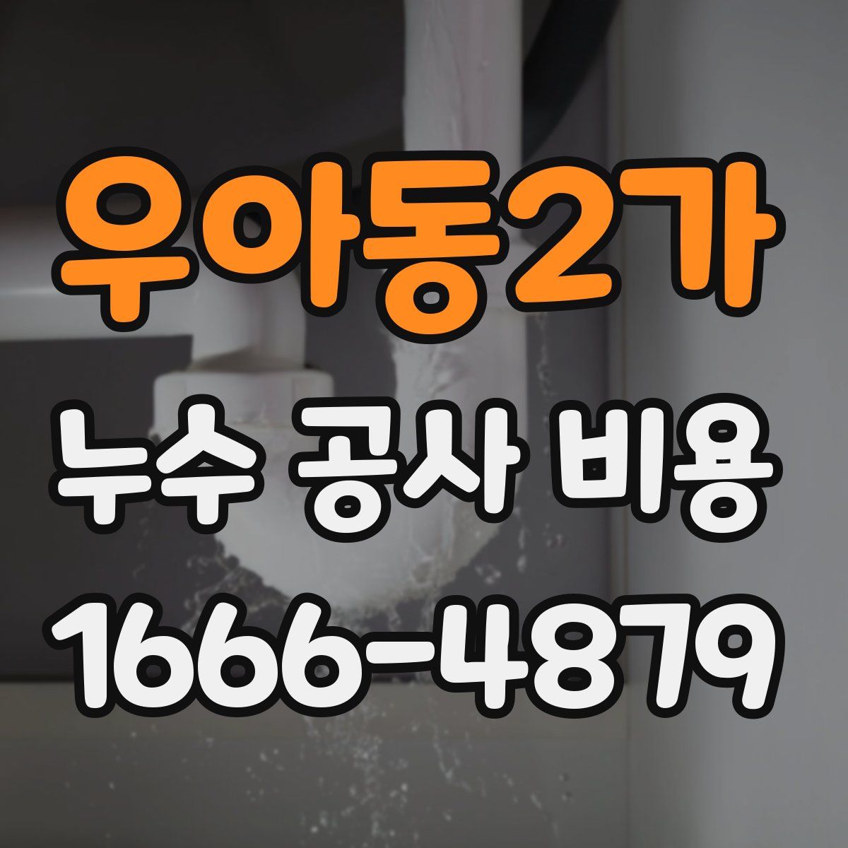우아동2가 누수 공사 비용