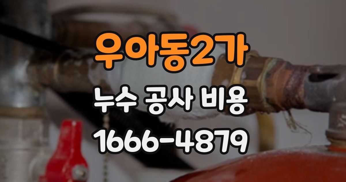 우아동2가 누수 공사 비용