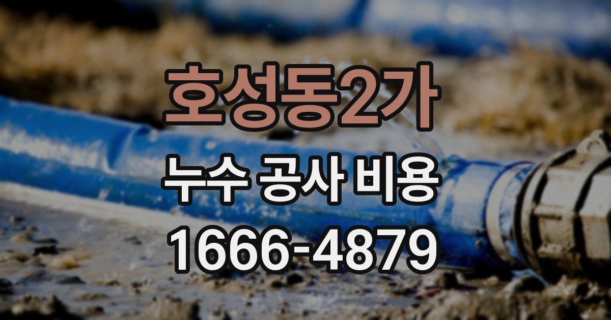 호성동2가 누수 공사 비용